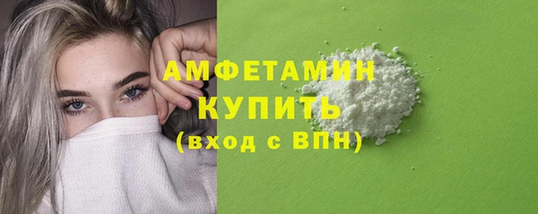 сатива Вяземский