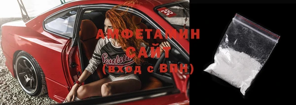 сатива Вяземский
