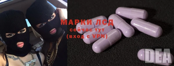 сатива Вяземский