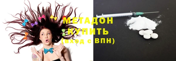 сатива Вяземский