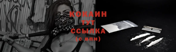 сатива Вяземский