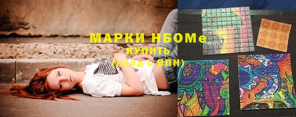 сатива Вяземский